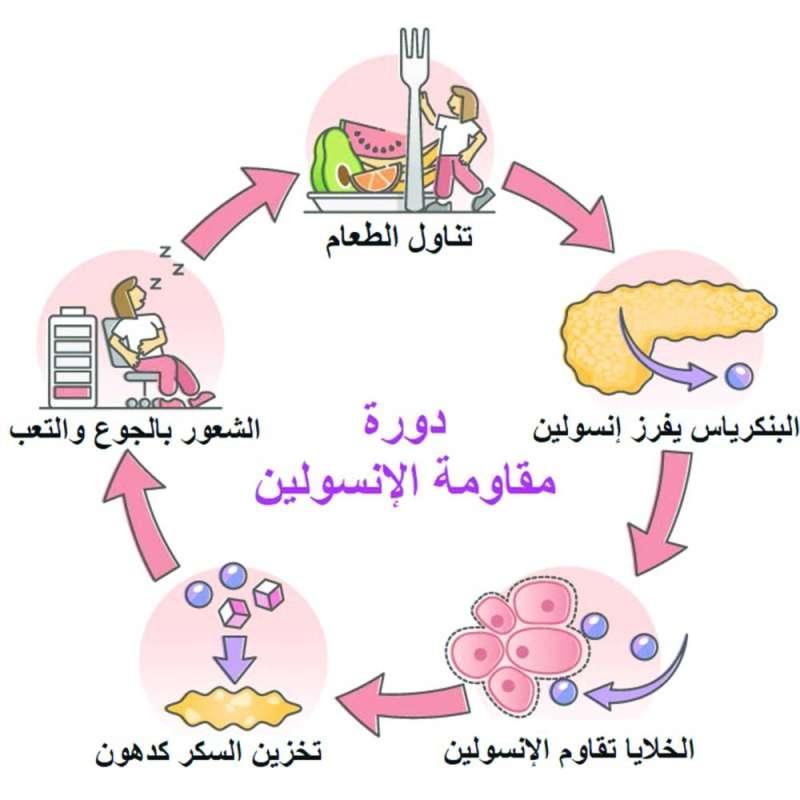 مفهوم مقاومة الأنسولين وتأثيرها على صحتك اليومية