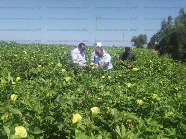 أسباب وقوع الحادث في المصرف الزراعي بدمياط