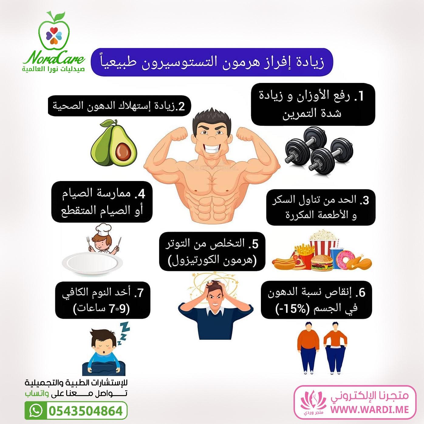 العناصر الغذائية الأساسية ودورها في زيادة هرمون التستوستيرون