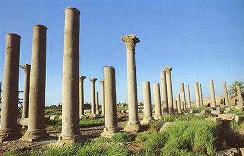تحضير مستفيض للملفات الفنية والتقارير العلمية لدعم إدراج تل العمارنة