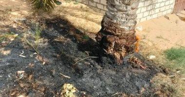 أسباب وحيثيات الحريق في شمال سيناء