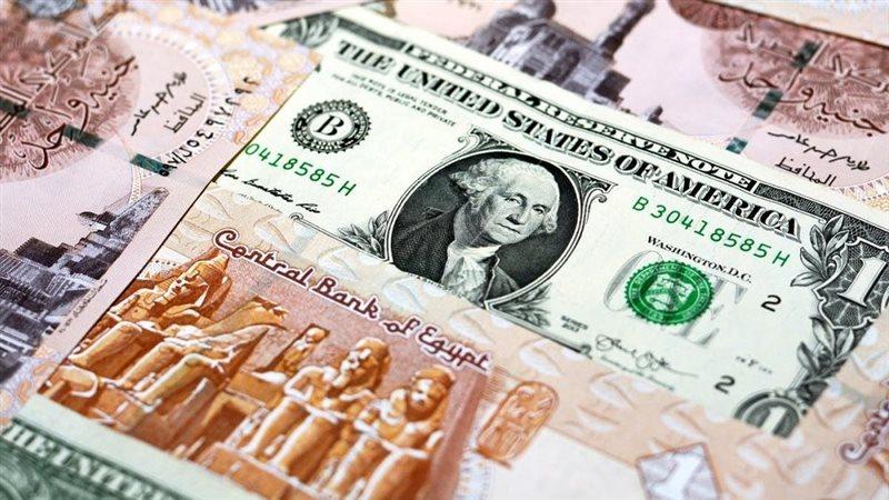سعر الدولار أمام الجنيه في السوق المحلية وتأثيره على الاقتصاد المصري