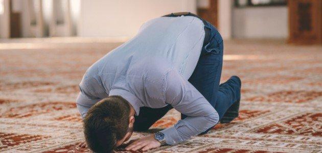 مكونات الكبدة بالردة الأساسية للحصول على نكهة غنية
