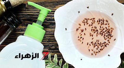 أفضل الأماكن لوضع الفخاخ الطبيعية لضمان نتائج مثالية