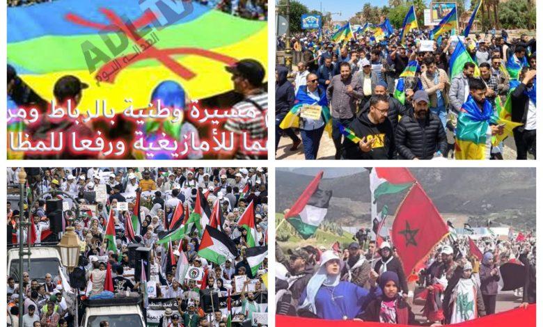 التأثيرات المحتملة للحركات الاحتجاجية على العلاقات الدبلوماسية