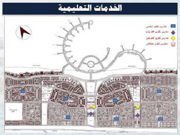التوصيات العملية لتعزيز كفاءة وسلاسة حركة النقل الجماعي