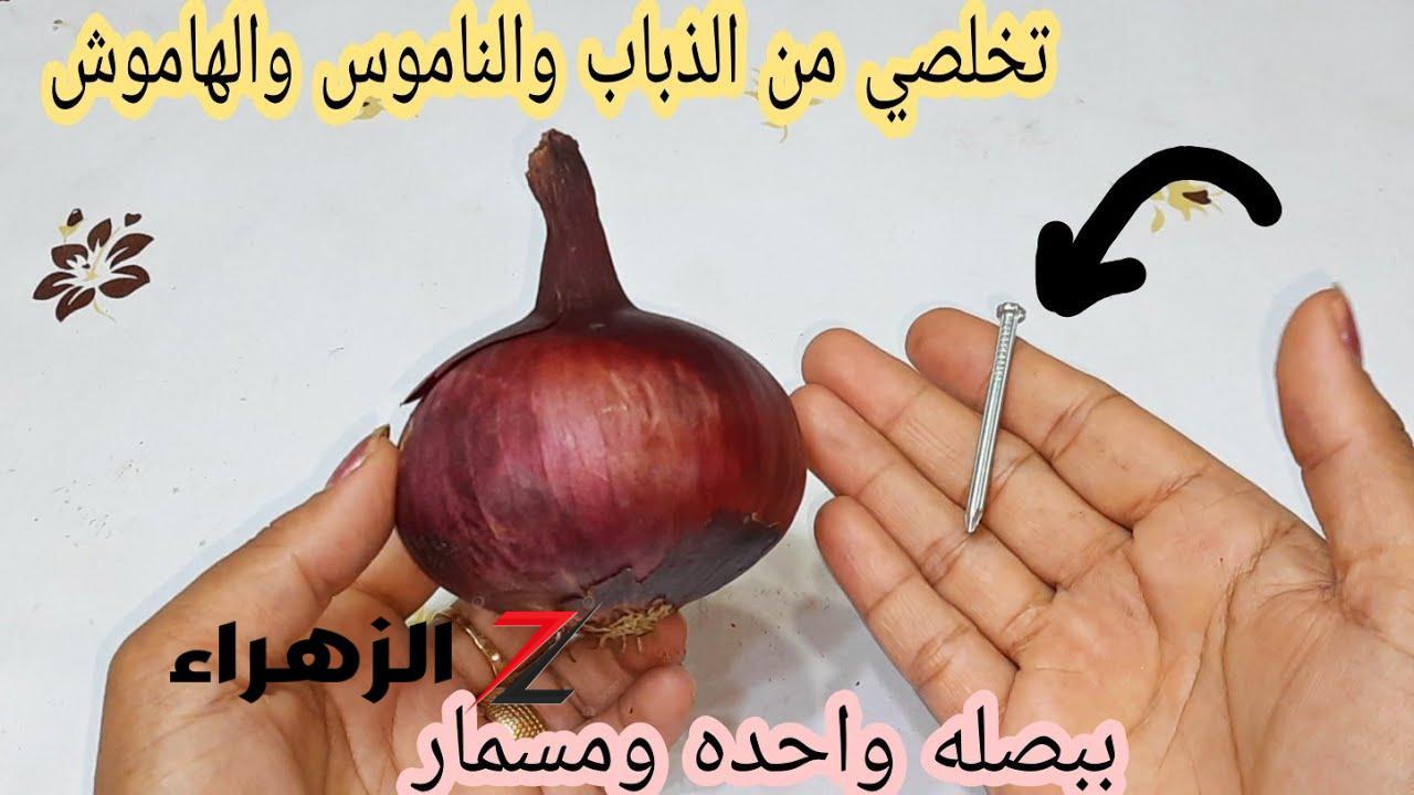 مكونات طبيعية فعالة لطرد الذباب بدون مواد كيميائية