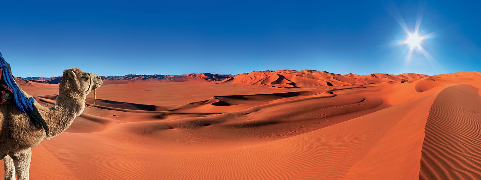 كيفية الاستفادة من المناظر الطبيعية الصحراوية لجذب محبي المغامرة