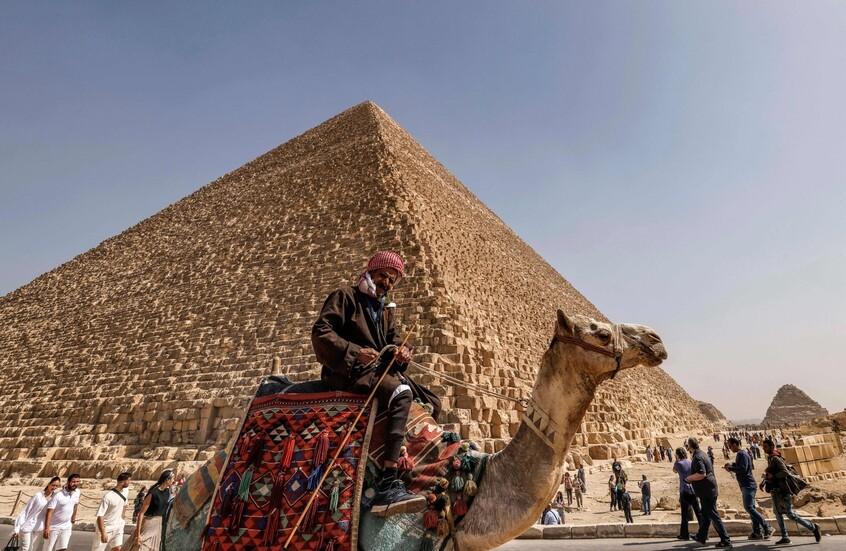 أهمية تنظيم الحركة وتوفير بدائل مستدامة للخيّالة والجمّالة في المناطق السياحية