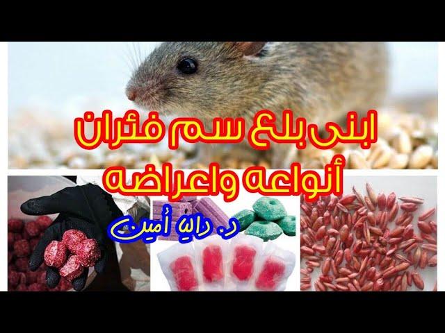 كيفية تقسيم التزامات الثمن بين الورثة وفق النظام القضائي
