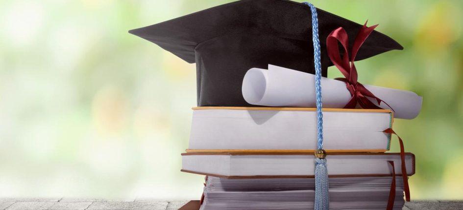 توصيات استراتيجية للطلاب وأسرهم لاختيار التخصص الأمثل وضمان مستقبل مهني ناجح