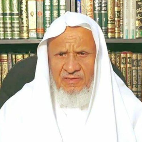 الشيخ أحمد خليل وتجربته الشخصية في رفع الظلم خلال رحلة العمرة