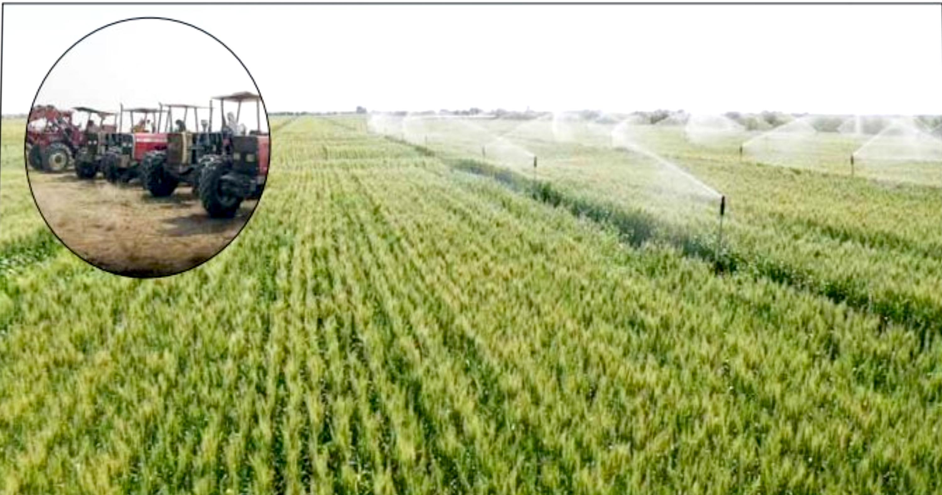 توصيات لتحسين آليات الأداء وتعزيز الشفافية في العمل الزراعي المحلي