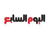دور المؤسسات الحكومية في الحفاظ على كرامة الجالية المصرية بالخارج