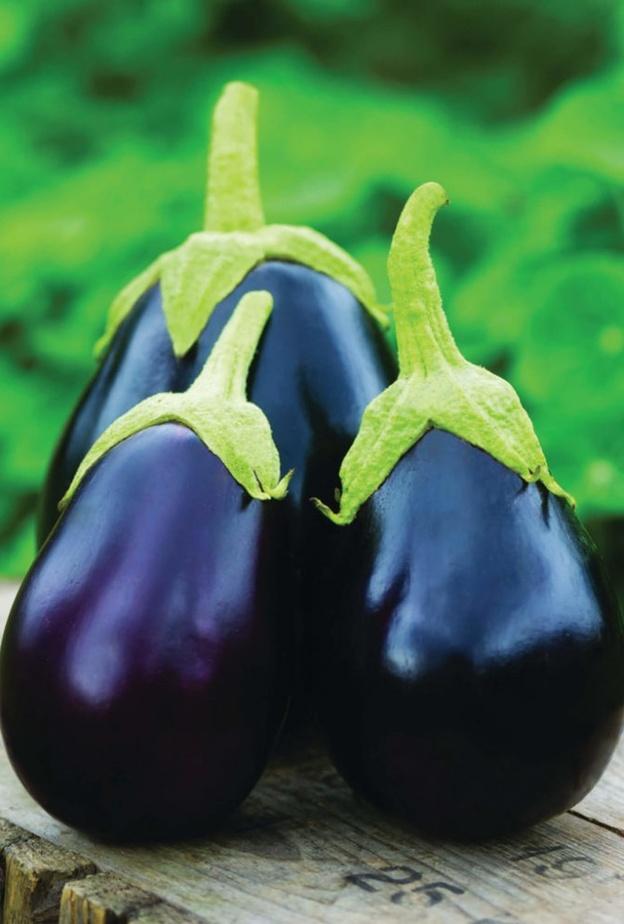 نصائح لاختيار أفضل أنواع البتنجان وتخزينه للحفاظ على جودته