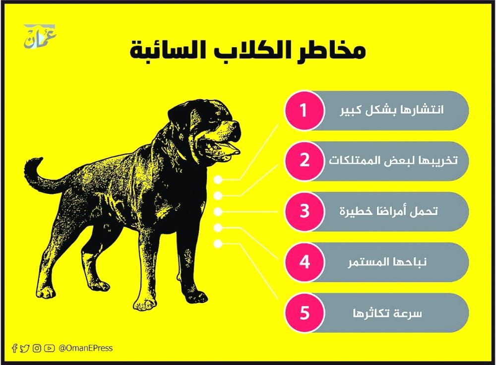 توصيات للوقاية من الهجمات الحيوانية وضرورة تعزيز حملات مكافحة الكلاب الضالة