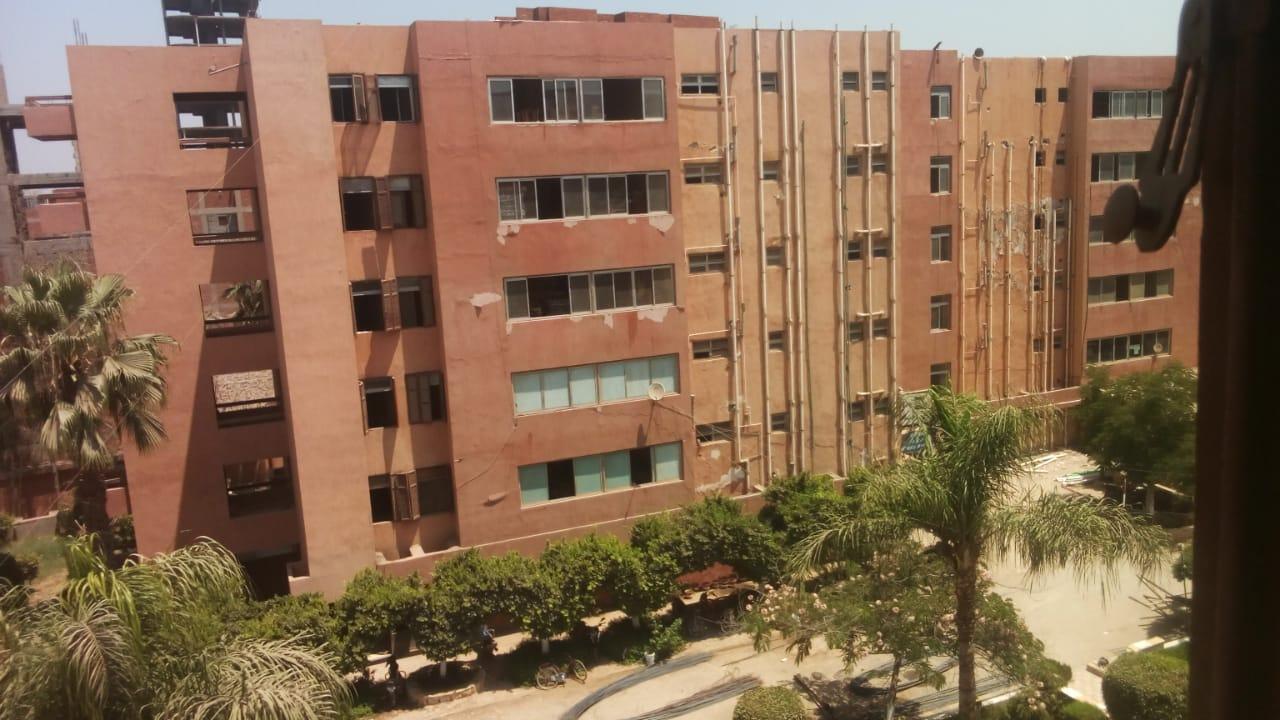 نصائح مهمة للطلاب الجدد لتحقيق الاستفادة القصوى من تجربة الدراسة في جامعة المنصورة الجديدة