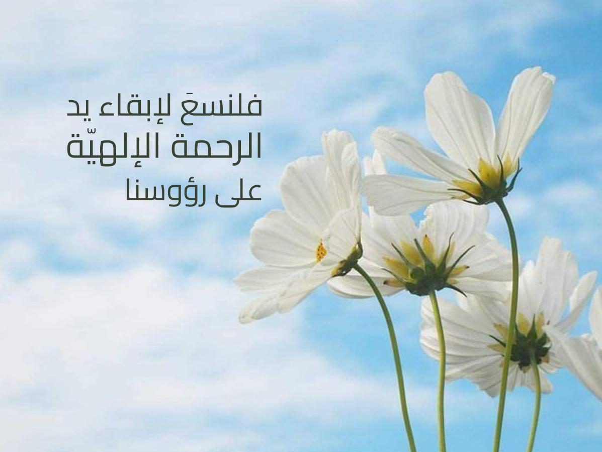 توجيهات لتعزيز الوحدة ونبذ الفتنة داخل المجتمعات الإسلامية