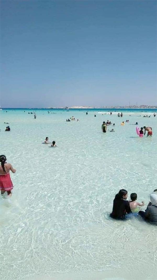 دور فرق الإنقاذ والسياحة في ضمان سلامة السباحين