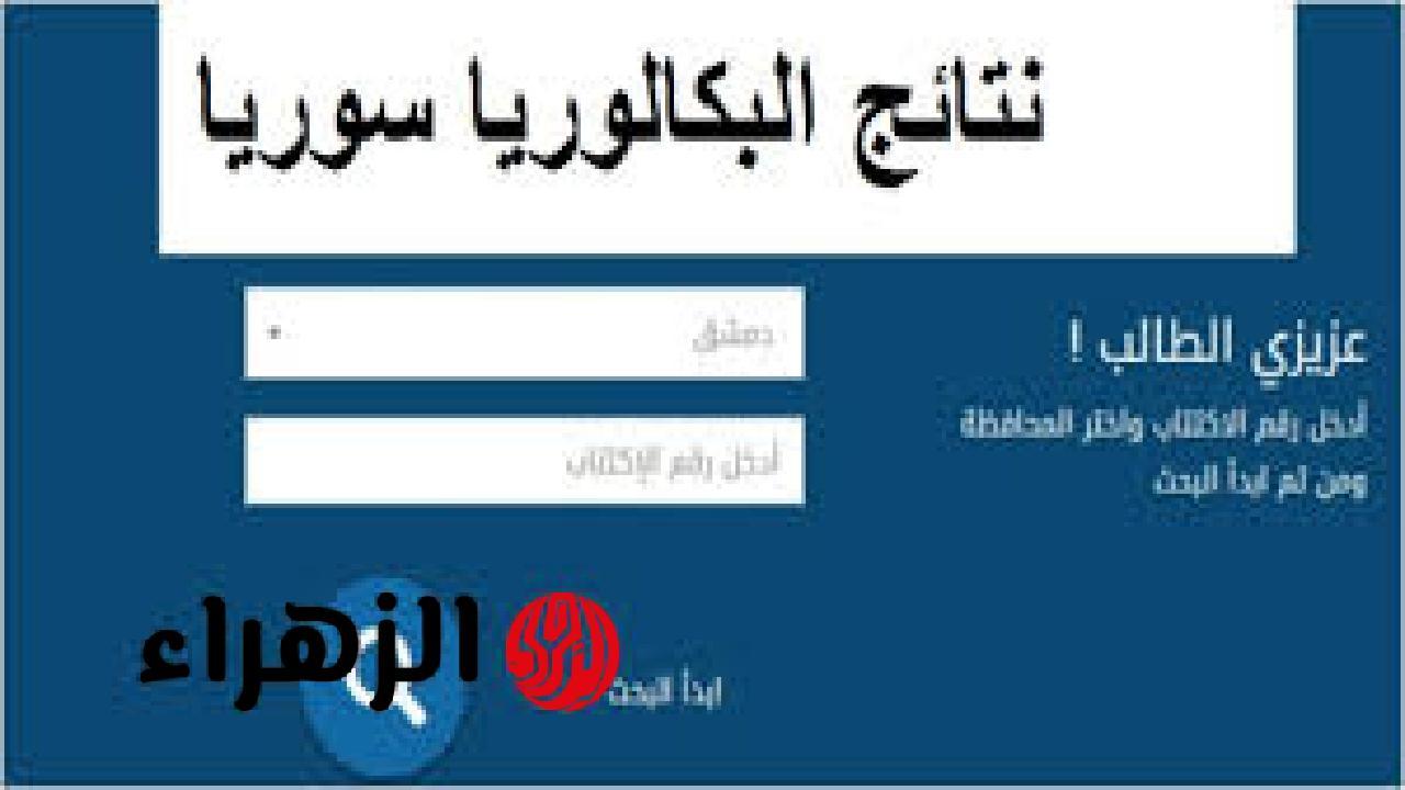 تفاصيل الدورة الأولى وأهم الملاحظات على نتائج جميع الطلاب