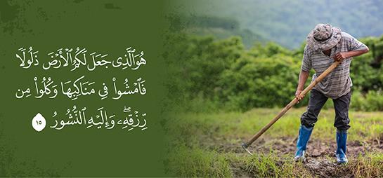 خطوات عملية لتحقيق الرزق الحلال وعيش حياة متزنة وروحية
