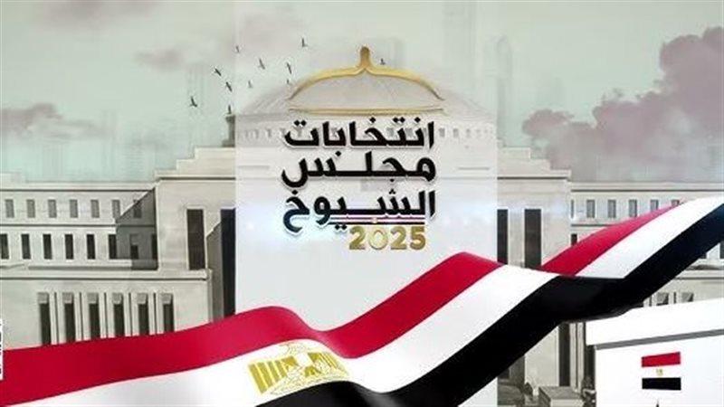 دور العملية الانتخابية في تعزيز المشاركة المجتمعية بالقاهرة الجديدة