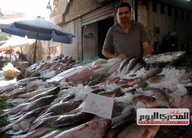 تحليل مفصل للتغيرات في أسعار الأسماك بسوق العبور اليوم