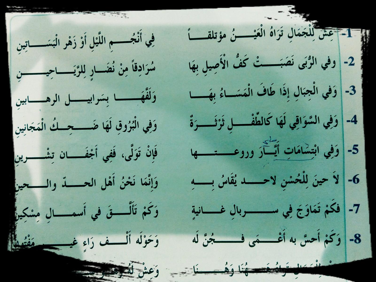 تحليل الصور الشعرية ودلالاتها في قصيدة بعض البشر