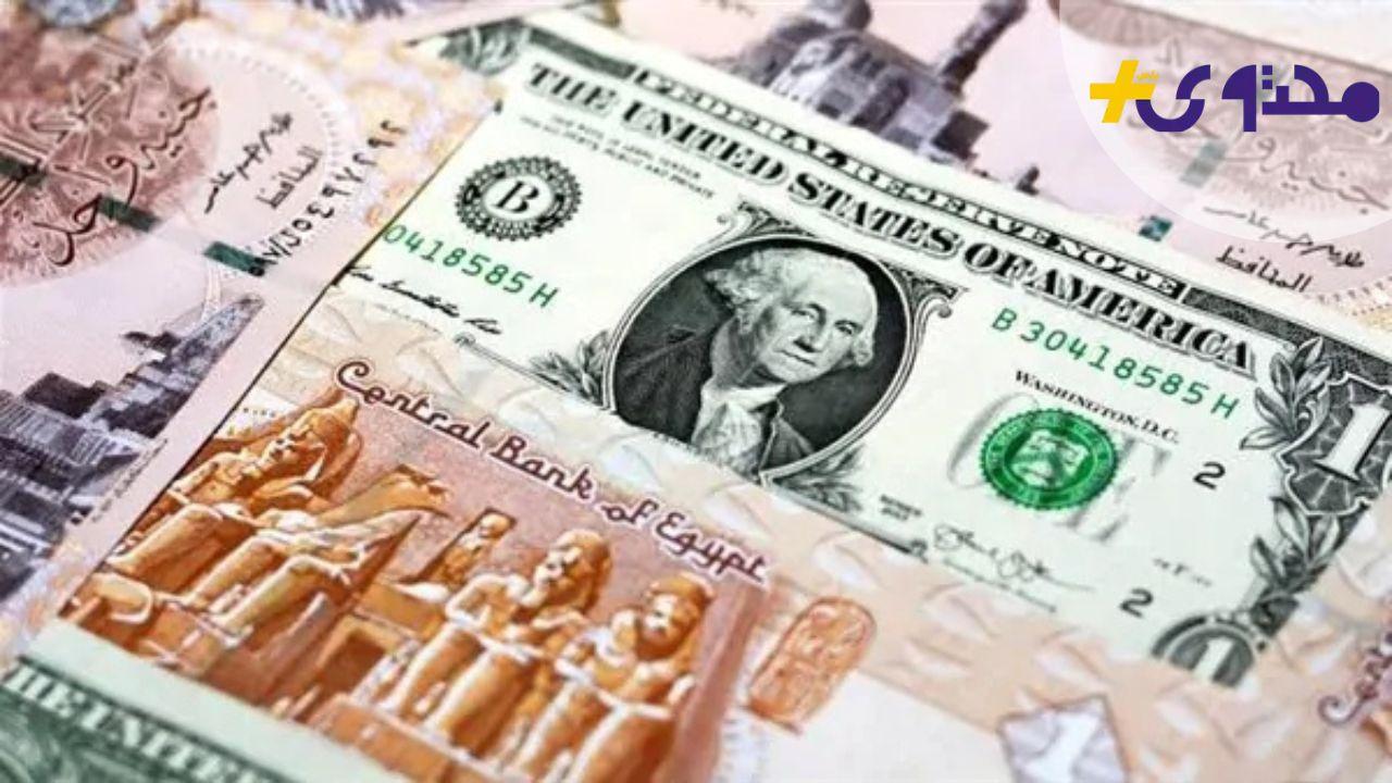 نصائح للمستثمرين والأفراد أمام تقلبات سعر الدولار الحالية