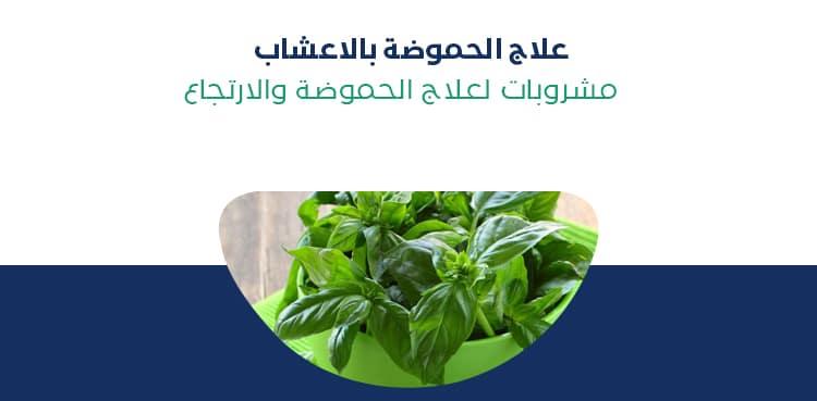 الأعشاب الطبيعية ودورها الفعال في تخفيف حرقة المعدة