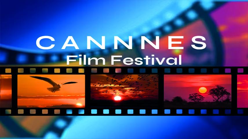 ضرورة استحداث آليات رقابية مشتركة لضمان عدالة توزيع الإيرادات السينمائية