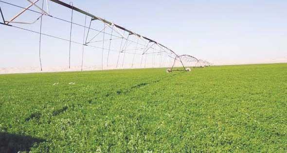 بتهمة التقصير ومسؤولية الأداء في الجمعيات الزراعية ببني سويف