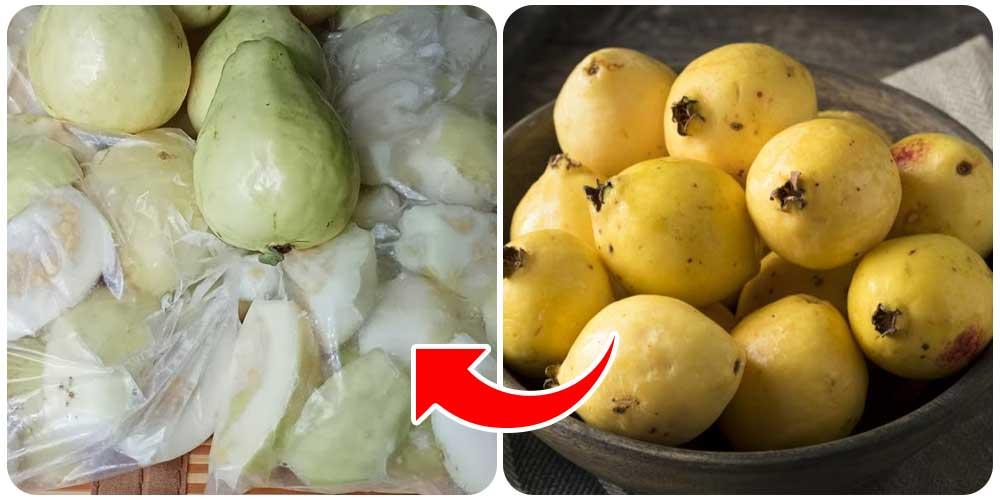 أفضل أنواع الجوافة المناسبة للتجميد وكيفية اختيارها