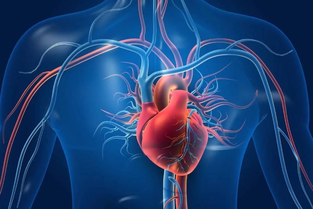 نصائح يومية للوقاية من أمراض القلب وتعزيز صحة القلب
