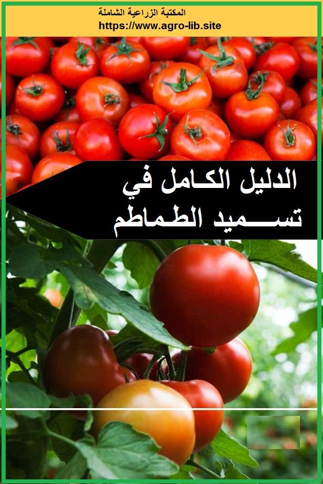 طرق التحضير المثلى للطماطم قبل التجميد