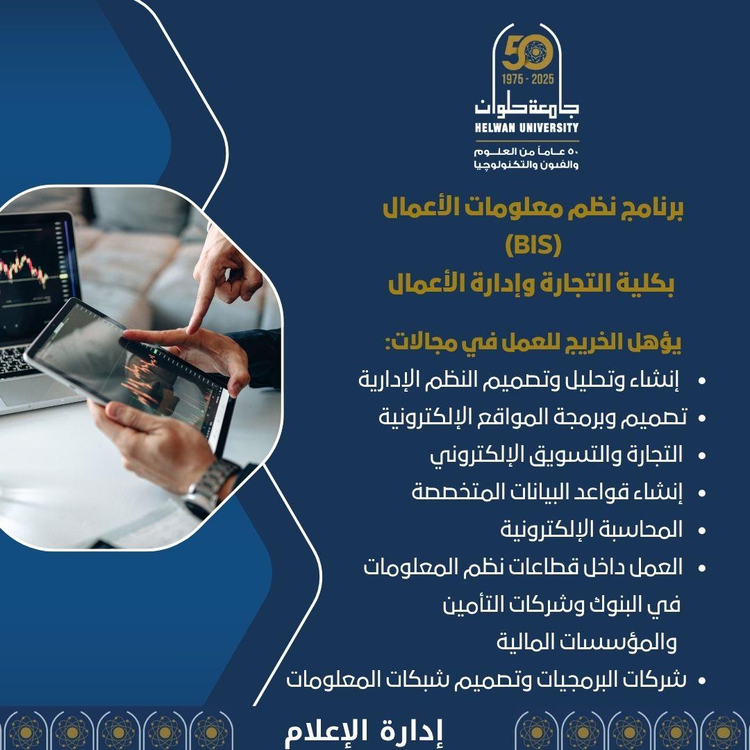 مهارات برنامج BIS وأهميتها في تحقيق التميز الوظيفي