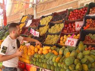توقعات الأسواق للفواكه في الأقصر خلال الأسابيع المقبلة