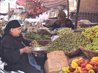 أسعار الخضروات في مرسى مطروح اليوم ومقارنة بالأسواق المجاورة