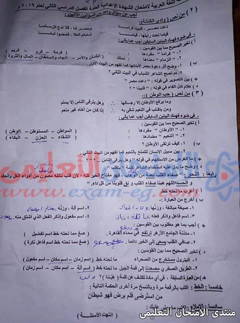 تحليل تفصيلي لأسئلة اللغة العربية ومفاتيح النجاح المحتملة