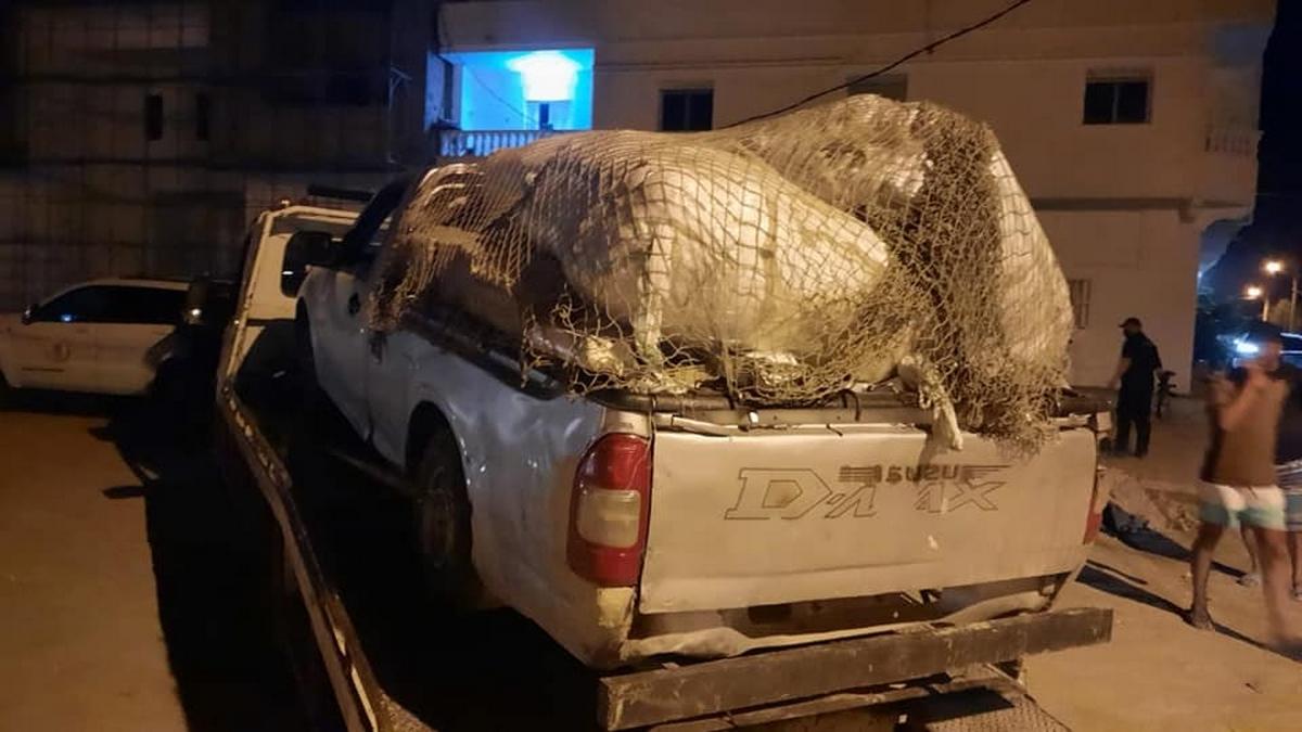 ضبط قضايا تهريب البضائع بين التحديات والإنجازات