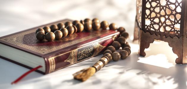 ربط الشريعة بالمعرفة لتعزيز الفهم المعاصر
