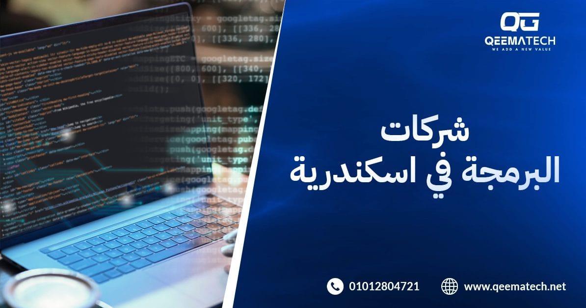 أهمية التميز البرمجي في تعزيز مهارات الشباب الجامعي في مصر