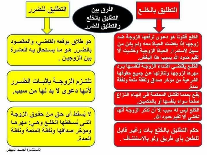 نصائح قانونية وفتاوى موثوقة لحماية حقوق المطلقات في الميراث
