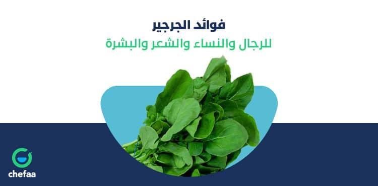أسباب تحذير أمين الفتوى من التعامل الإلكتروني بين الرجل والمرأة