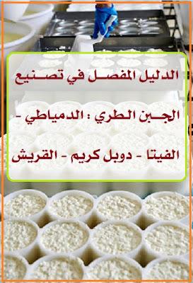 طريقة اختيار أفضل مكونات الجبنة القريش لتعزيز النكهة والقيمة الغذائية