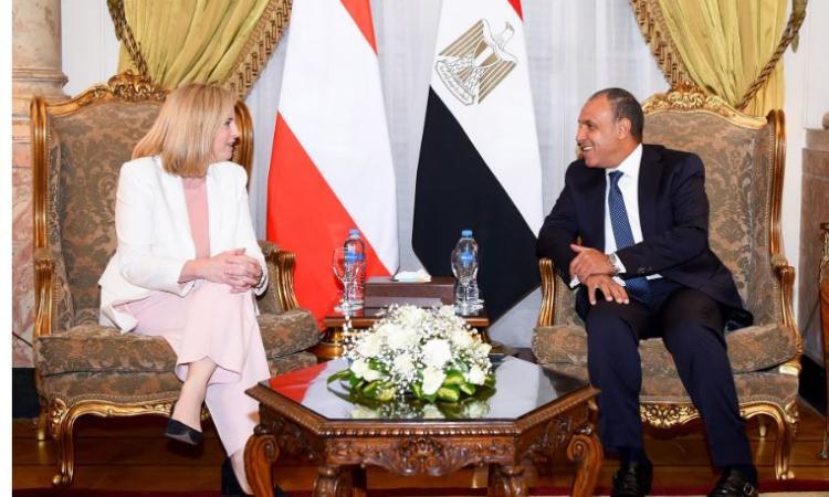 تحليل دور مصر في تعزيز العلاقات الإنسانية بين البلدين