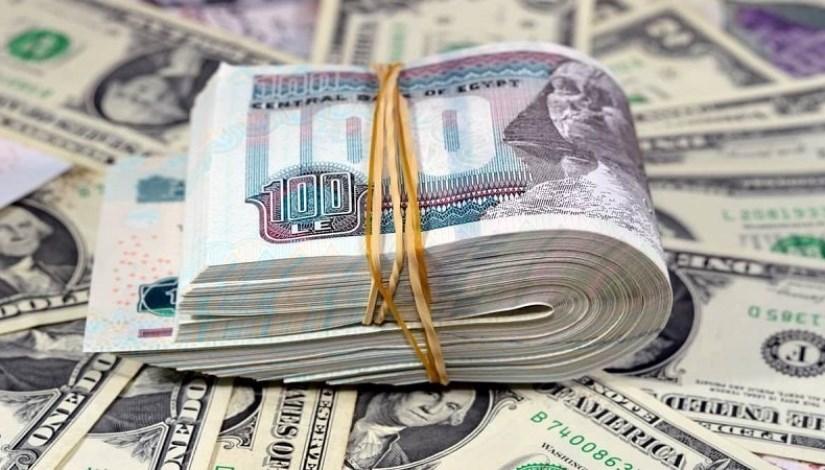 تطورات سعر الدولار مقابل الجنيه المصري وتأثيرها على السوق المحلية