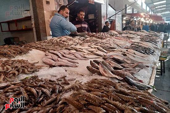 التحديات التي تواجه تجار الأسماك وجودة المنتجات المعروضة