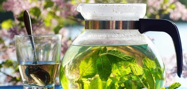 أفضل الأعشاب والمشروبات الطبيعية لتبريد حرارة الجسم