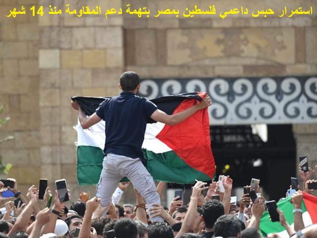 رصد الإنفاق المالي: الكشف عن أرقام مبهرة لصرف جمهور الفيلم